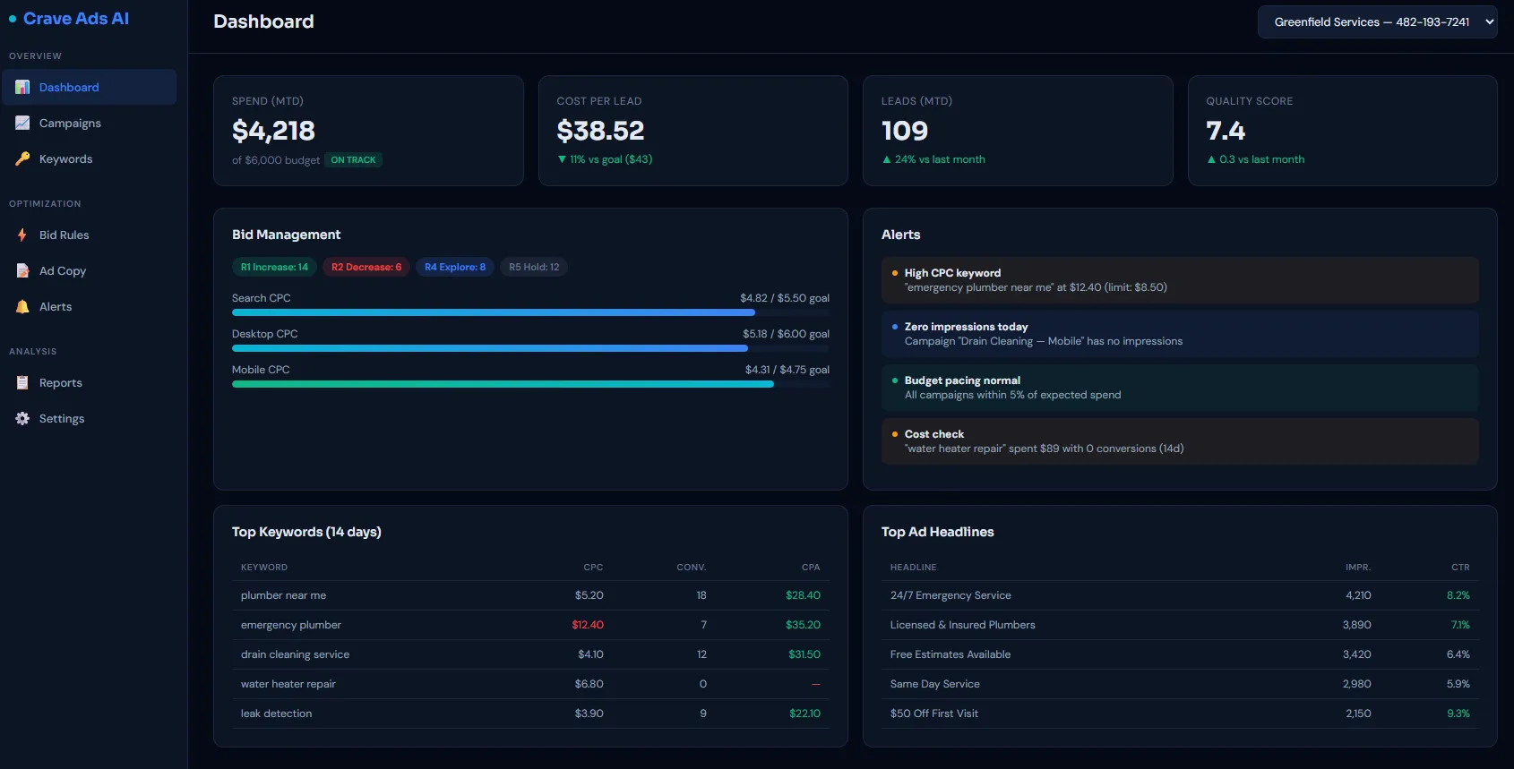 Google Ads monitoring dashboard